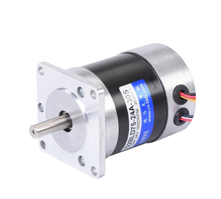 brushless-dc-motor  (1)