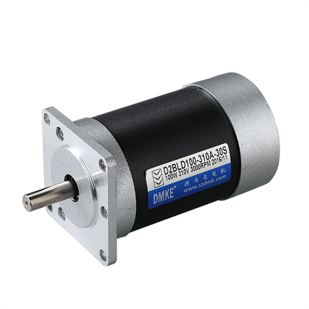 100W Brushless DC Motor, 12V/24V, 0.32 Nm