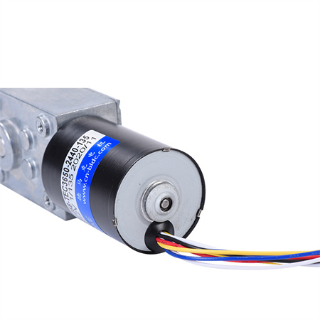 bldc-worm-gear-motor  (1)