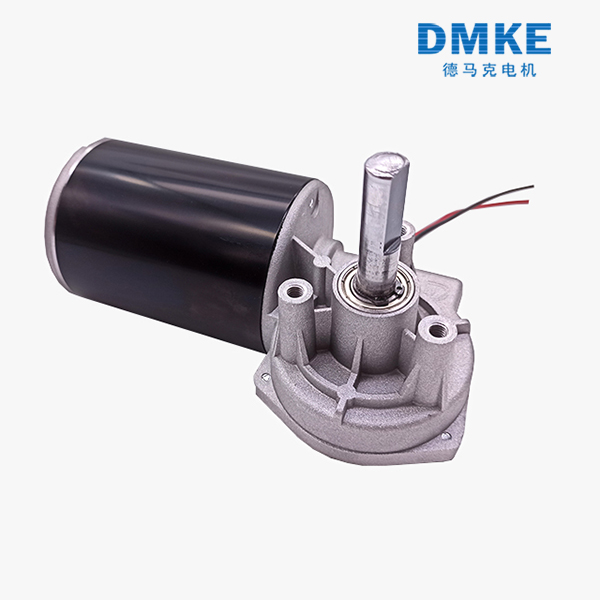 worm-gear-motor (2)